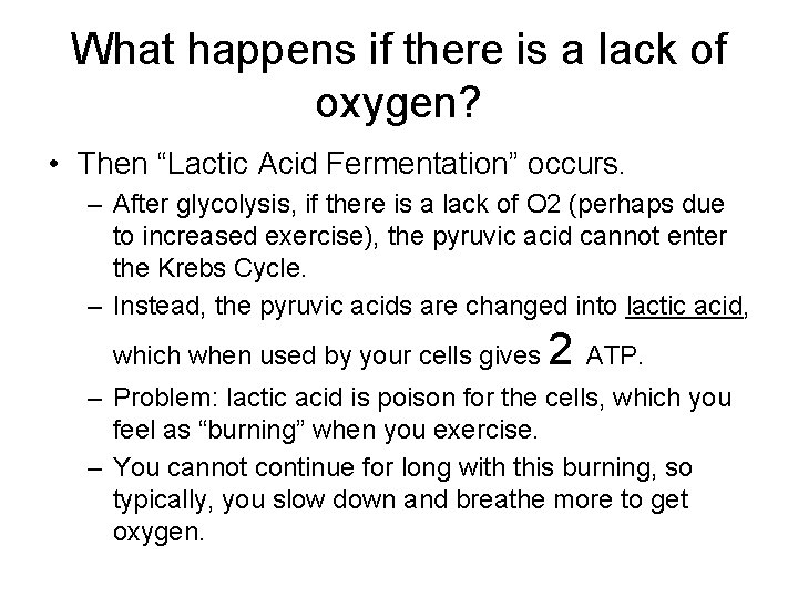 What happens if there is a lack of oxygen? • Then “Lactic Acid Fermentation” What happens if there is a lack of oxygen? • Then “Lactic Acid Fermentation”