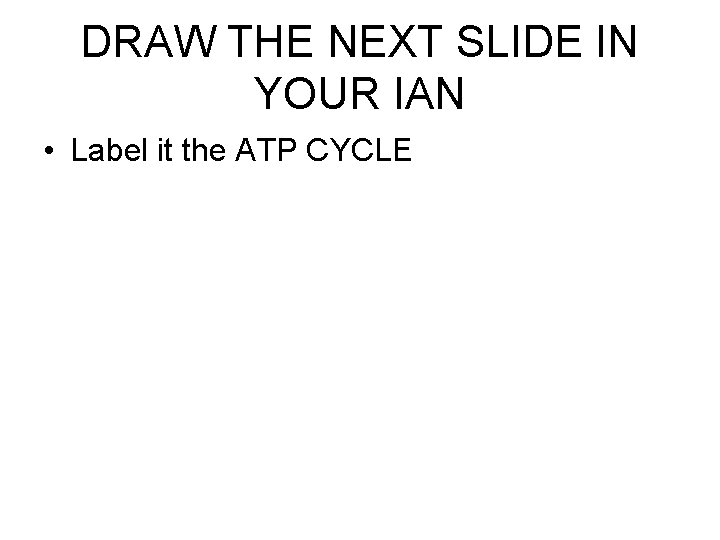 DRAW THE NEXT SLIDE IN YOUR IAN • Label it the ATP CYCLE  DRAW THE NEXT SLIDE IN YOUR IAN • Label it the ATP CYCLE