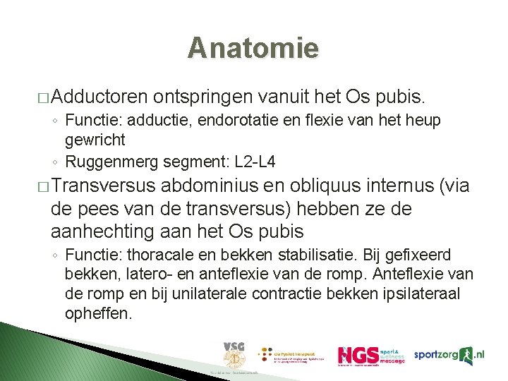 Anatomie � Adductoren ontspringen vanuit het Os pubis. ◦ Functie: adductie, endorotatie en flexie Anatomie � Adductoren ontspringen vanuit het Os pubis. ◦ Functie: adductie, endorotatie en flexie