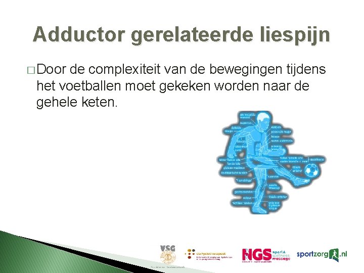 Adductor gerelateerde liespijn � Door de complexiteit van de bewegingen tijdens het voetballen moet Adductor gerelateerde liespijn � Door de complexiteit van de bewegingen tijdens het voetballen moet