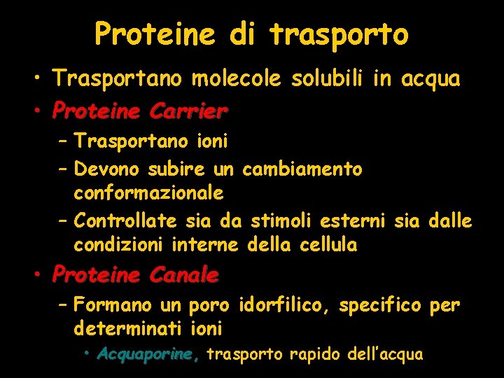 Proteine di trasporto • Trasportano molecole solubili in acqua • Proteine Carrier – Trasportano