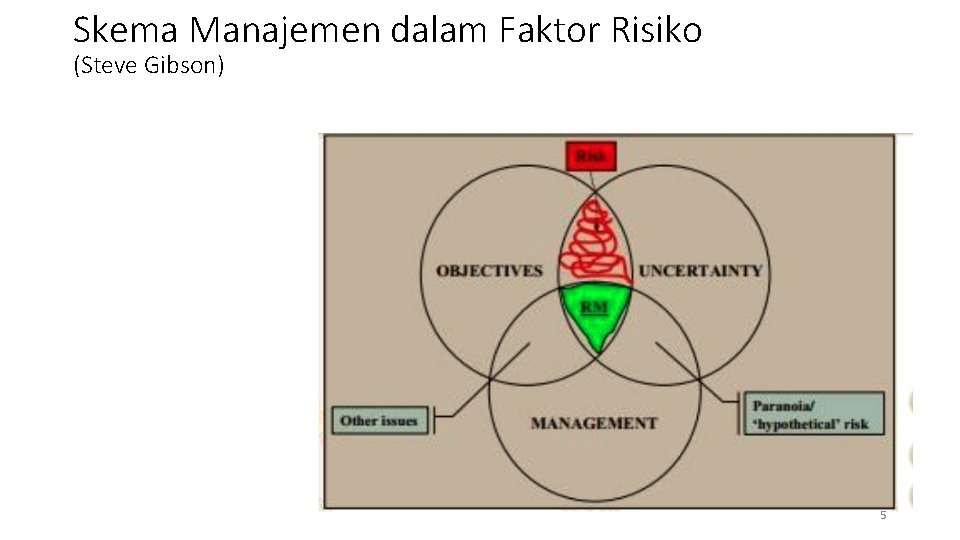 Skema Manajemen dalam Faktor Risiko (Steve Gibson) 5 