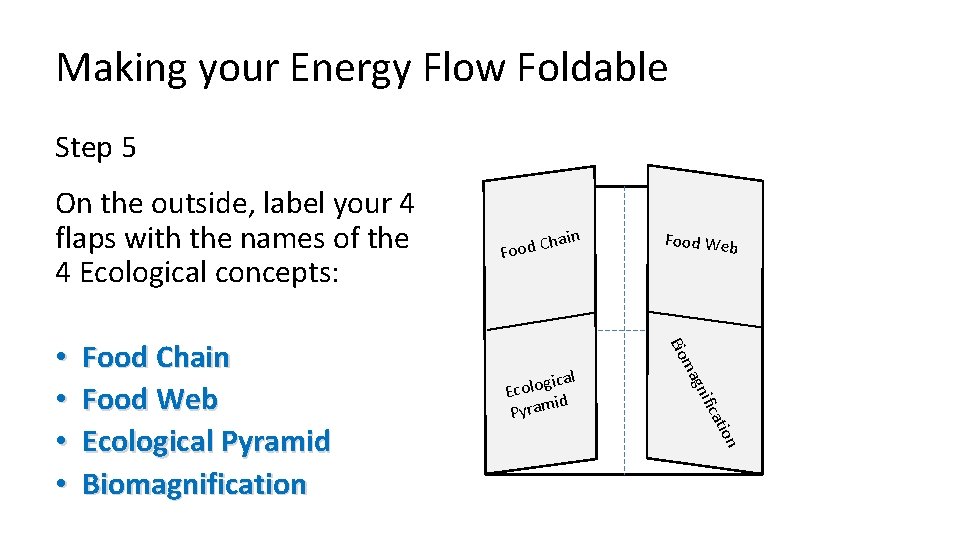 Making your Energy Flow Foldable Step 5 On the outside, label your 4 flaps