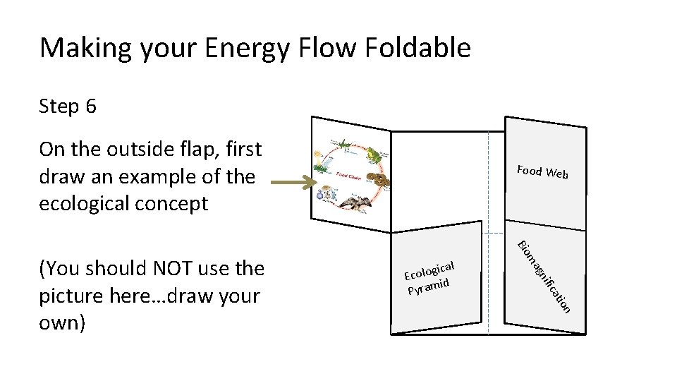 Making your Energy Flow Foldable Step 6 On the outside flap, first draw an