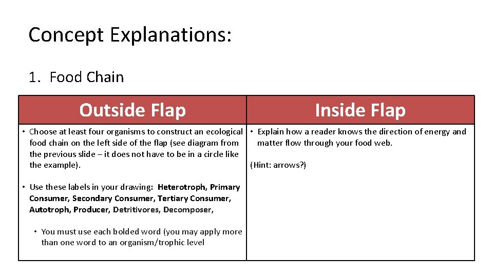 Concept Explanations: 1. Food Chain Outside Flap Inside Flap • Choose at least four