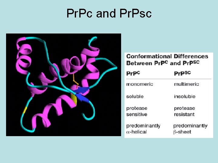 Pr. Pc and Pr. Psc 