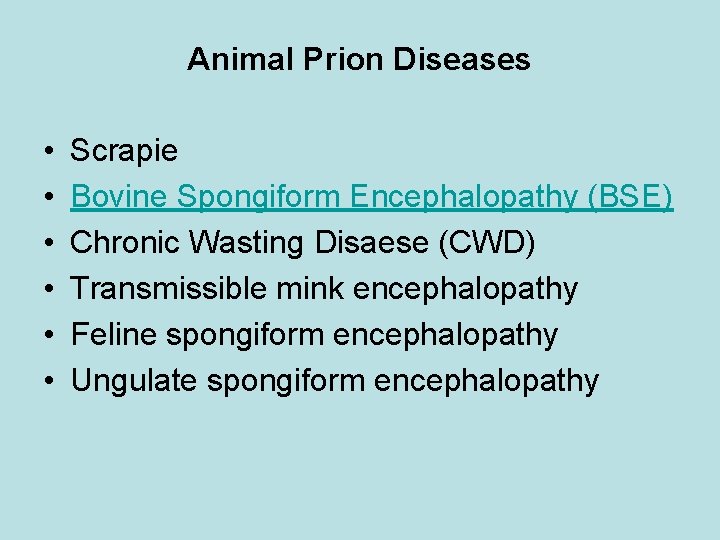 Animal Prion Diseases • • • Scrapie Bovine Spongiform Encephalopathy (BSE) Chronic Wasting Disaese