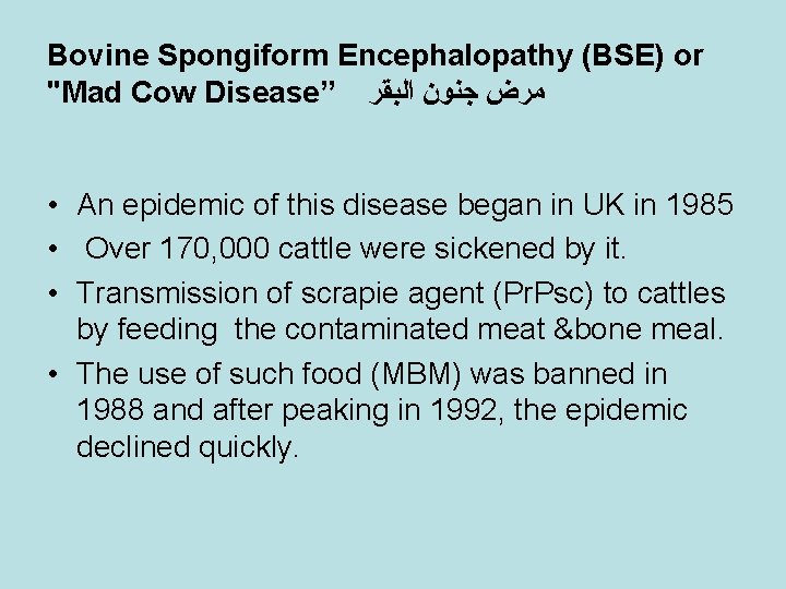 Bovine Spongiform Encephalopathy (BSE) or "Mad Cow Disease” ﺍﻟﺒﻘﺮ ﺟﻨﻮﻥ ﻣﺮﺽ • An epidemic