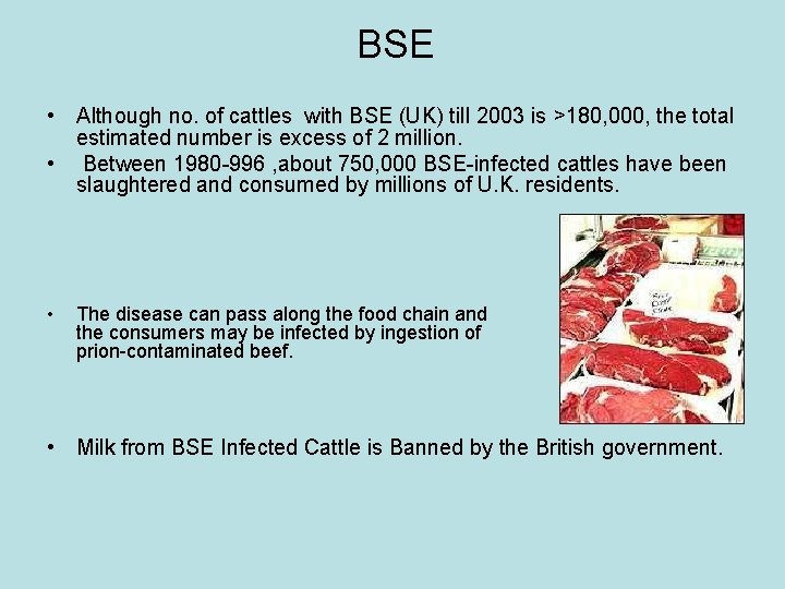BSE • Although no. of cattles with BSE (UK) till 2003 is >180, 000,