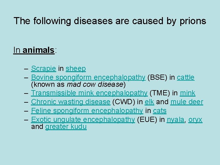 The following diseases are caused by prions In animals: – Scrapie in sheep –