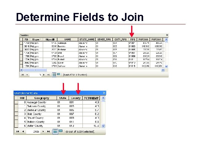 Determine Fields to Join GIS 17 