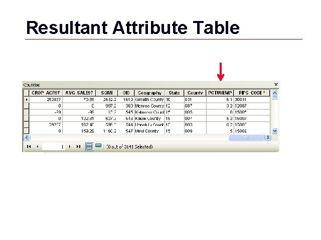 Resultant Attribute Table GIS 21 