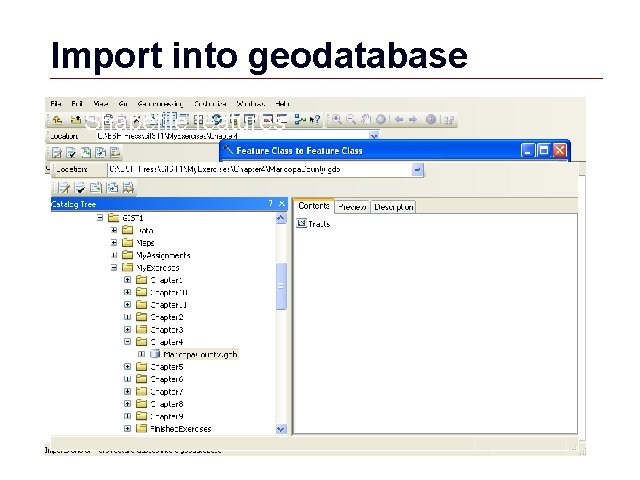 Import into geodatabase Shapefile features GIS 44 