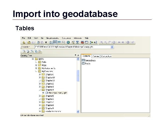 Import into geodatabase Tables GIS 45 
