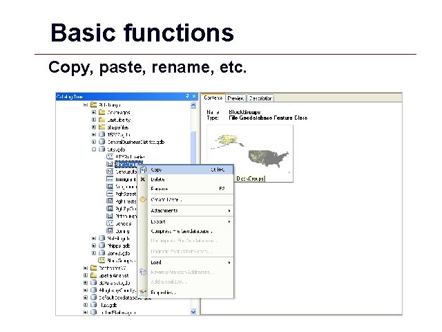 Basic functions Copy, paste, rename, etc. GIS 52 