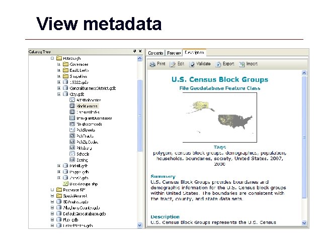 View metadata GIS 54 