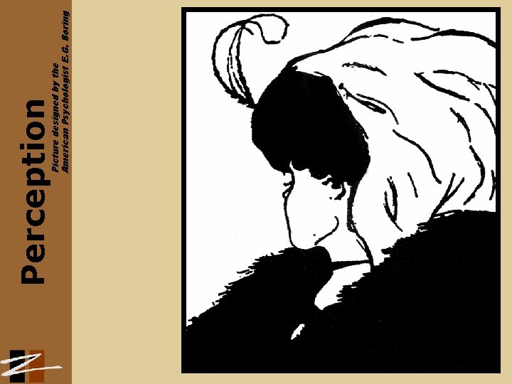 Picture designed by the American Psychologist E. G. Boring Perception 
