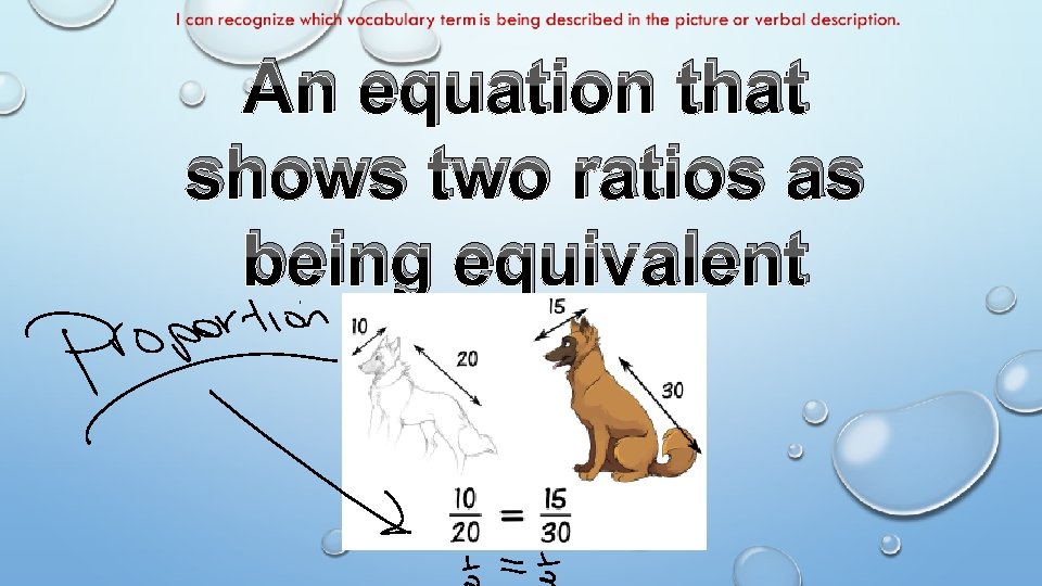 An equation that shows two ratios as being equivalent 