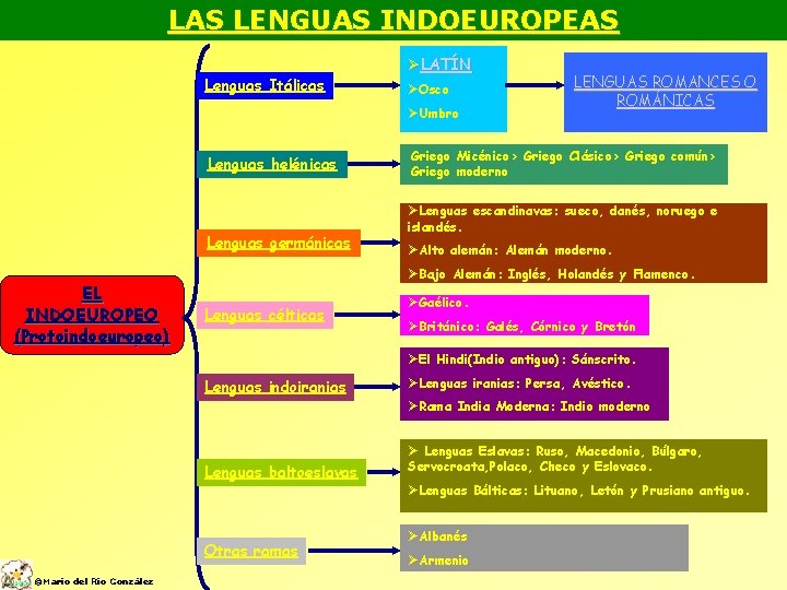 LAS LENGUAS INDOEUROPEAS Lenguas Itálicas ØLATÍN ØOsco ØUmbro Lenguas helénicas Lenguas germánicas EL INDOEUROPEO