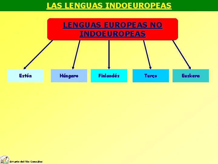 LAS LENGUAS INDOEUROPEAS LENGUAS EUROPEAS NO INDOEUROPEAS Estón ©Mario del Río González Húngaro Finlandés
