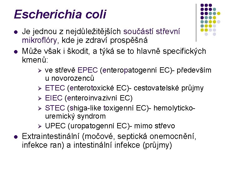 Escherichia coli l l Je jednou z nejdůležitějších součástí střevní mikroflóry, kde je zdraví