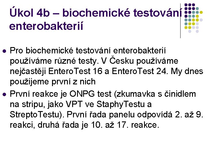 Úkol 4 b – biochemické testování enterobakterií l l Pro biochemické testování enterobakterií používáme