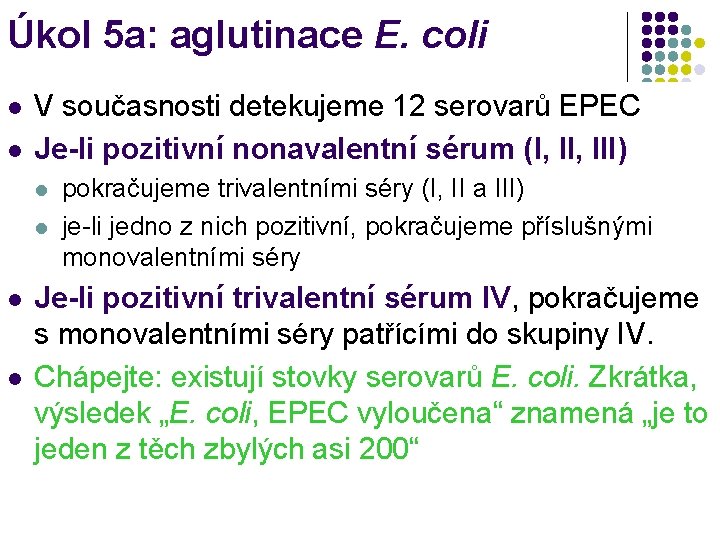 Úkol 5 a: aglutinace E. coli l l V současnosti detekujeme 12 serovarů EPEC