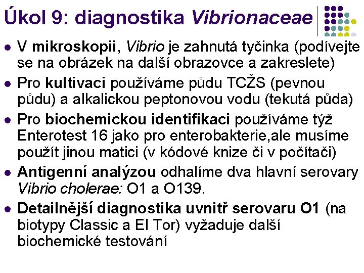 Úkol 9: diagnostika Vibrionaceae l l l V mikroskopii, Vibrio je zahnutá tyčinka (podívejte