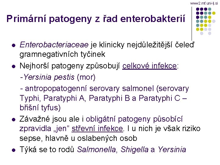 www 2. mf. uni-lj. si Primární patogeny z řad enterobakterií Enterobacteriaceae je klinicky nejdůležitější