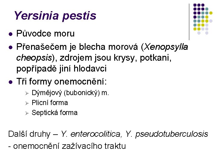 Yersinia pestis l l l Původce moru Přenašečem je blecha morová (Xenopsylla cheopsis), zdrojem