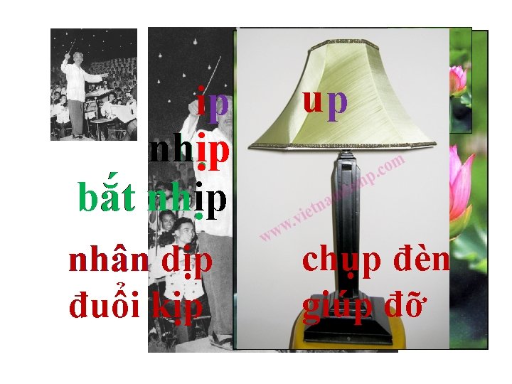 ip ip nhịp. bắt nhịp. u up p búp sen nhân dịp đuổi kịp