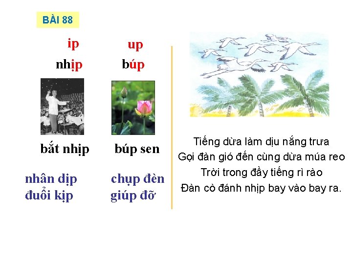 BÀI 88 ip nhịp bắt nhịp nhân dịp đuổi kịp up búp sen chụp