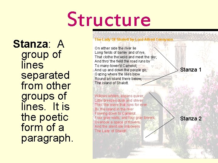 Structure Stanza: A group of lines separated from other groups of lines. It is