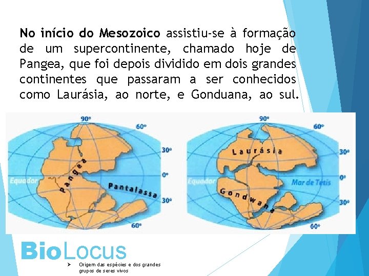 No início do Mesozoico assistiu-se à formação de um supercontinente, chamado hoje de Pangea,