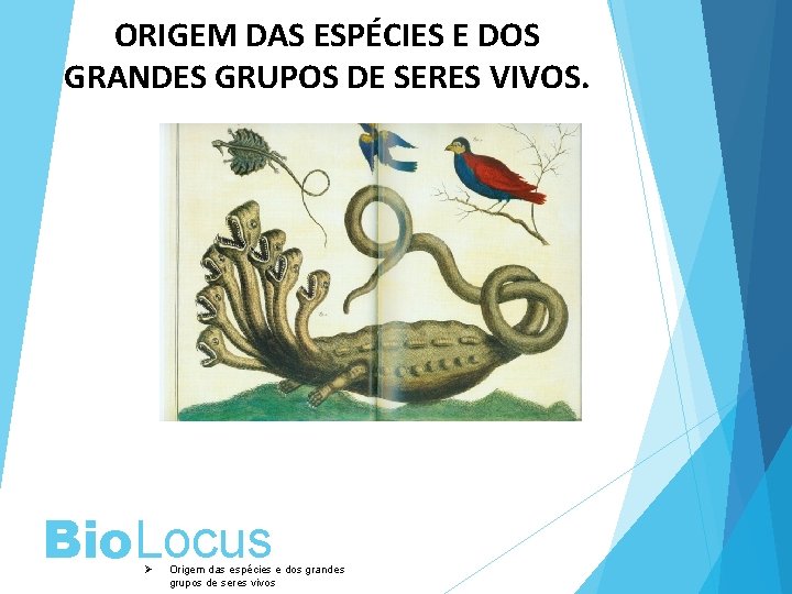 ORIGEM DAS ESPÉCIES E DOS GRANDES GRUPOS DE SERES VIVOS. Bio. Locus Ø Origem