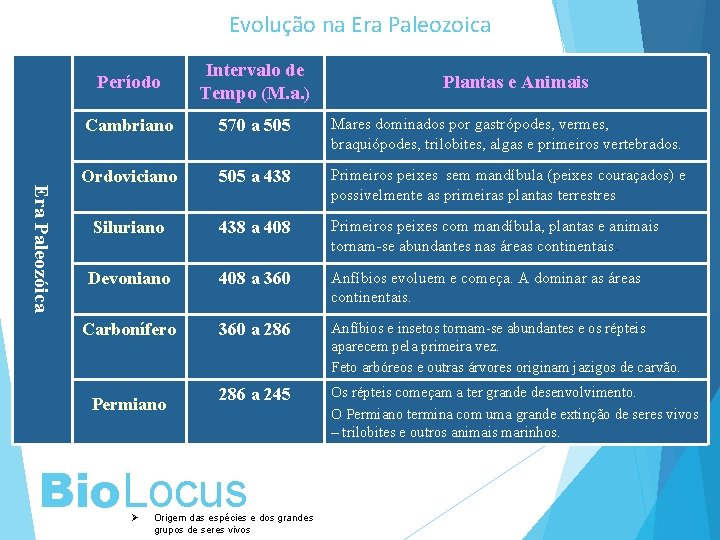 Evolução na Era Paleozoica Era Paleozóica Período Intervalo de Tempo (M. a. ) Cambriano