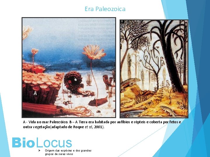 Era Paleozoica A B A - Vida no mar Paleozóico. B – A Terra