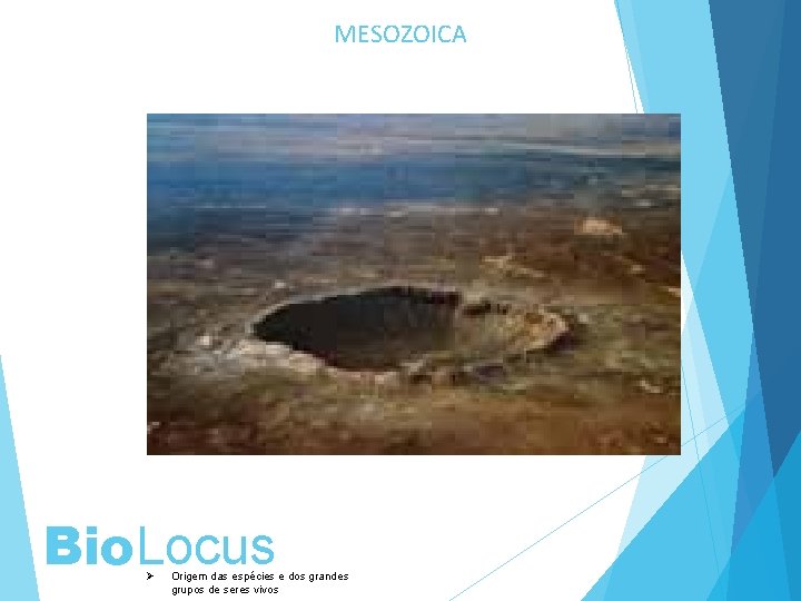 MESOZOICA Bio. Locus Ø Origem das espécies e dos grandes grupos de seres vivos