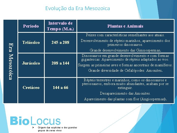 Evolução da Era Mesozoica Período Intervalo de Tempo (M. a. ) Era Mesozóica Triássico