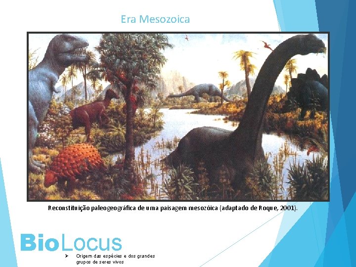 Era Mesozoica Reconstituição paleogeográfica de uma paisagem mesozóica (adaptado de Roque, 2001). Bio. Locus