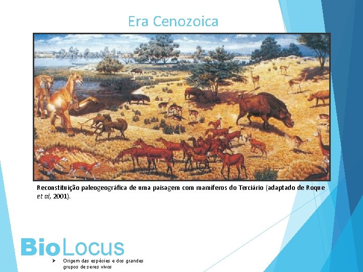 Era Cenozoica Reconstituição paleogeográfica de uma paisagem com mamíferos do Terciário (adaptado de Roque