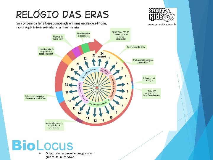 Bio. Locus Ø Origem das espécies e dos grandes grupos de seres vivos 