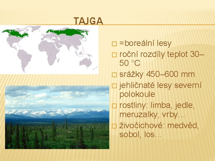 TAJGA =boreální lesy � roční rozdíly teplot 30– 50 °C � srážky 450– 600