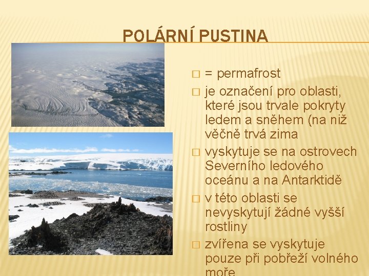 POLÁRNÍ PUSTINA � � � = permafrost je označení pro oblasti, které jsou trvale