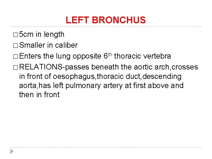 LEFT BRONCHUS � 5 cm in length � Smaller in caliber � Enters the