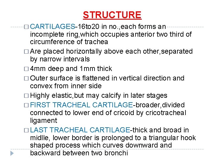 STRUCTURE � CARTILAGES-16 to 20 in no. , each forms an incomplete ring, which