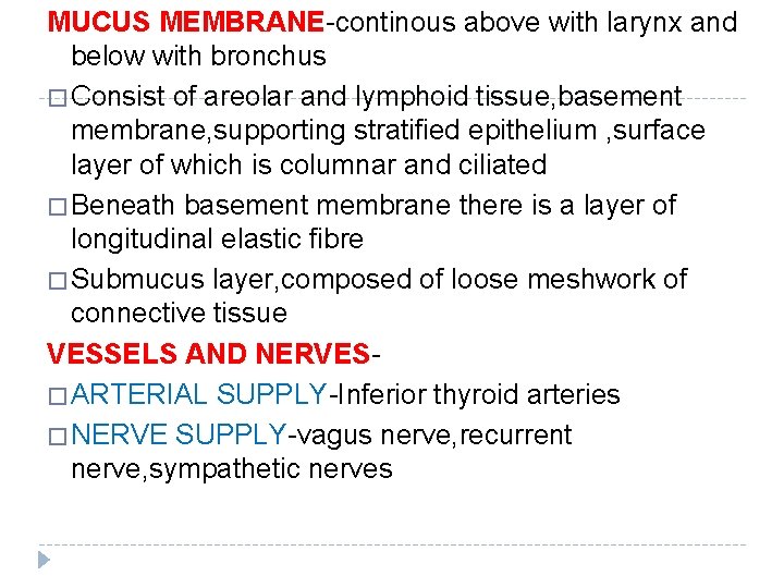 MUCUS MEMBRANE-continous above with larynx and below with bronchus � Consist of areolar and