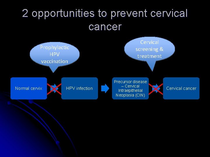 2 opportunities to prevent cervical cancer Prophylactic HPV vaccination Normal cervix HPV infection Cervical
