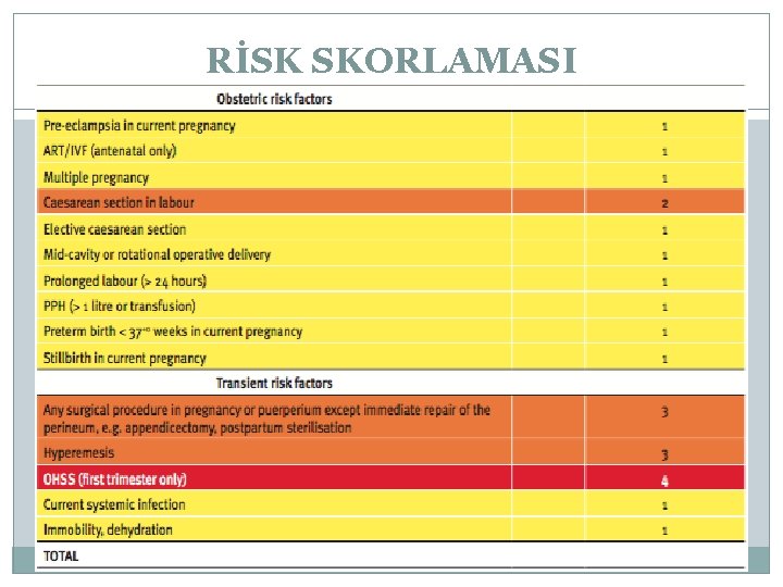 RİSK SKORLAMASI 