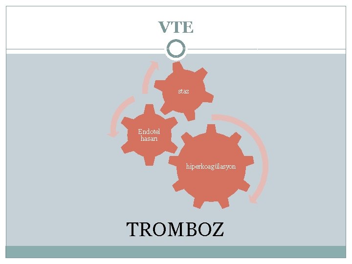 VTE staz Endotel hasarı hiperkoagülasyon TROMBOZ 